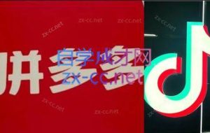 老陶电商·拼多多+抖音小店无货源开店（更新5月）