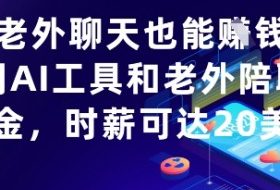 和老外聊天也能挣钱？利用AI工具和老外陪聊挣美金，时薪可达20刀