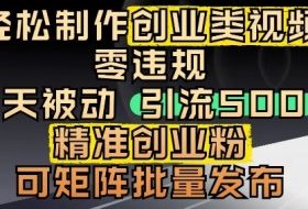 抖音引流创业粉，几分钟一个视频，非常暴力，小白直接可上手操作
