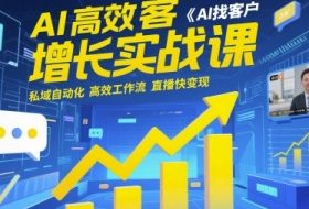 AI高效获客增长实战课，​AI找客户 私域自动化 高效工作流 直播快变现