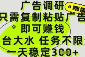 广告调研项目，只需复制粘贴广告即可挣钱，平台大水，任务不限量，一天3张【揭秘】