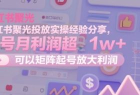 小红书聚光投放实操经验分享，单号月利润超1w+，可以矩阵起号放大利润
