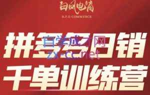 白凤电商·拼多多日销千单训练营（更新5月）