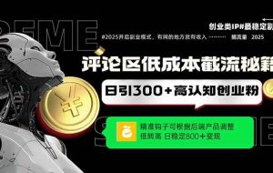（14779期）评论区低成本引流秘籍，精准钩子直击用户，单账号日增300+创业粉，日稳…