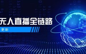 （14787期）5月更新-半无人直播全链路：AI数字人+千川截流实战，女装选品与防违规…