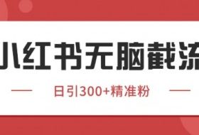 小红书只要你有同行就能获客，独家野路子获客玩法，暴力截流【揭秘】