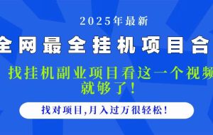 （14804期）2025最全自动运行项目合集 找项目看这一个视频就够了，做对项目月入过万很…