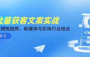 （14814期）AI批量获客文案实战，普通人拥抱趋势，新媒体与实体行业结合
