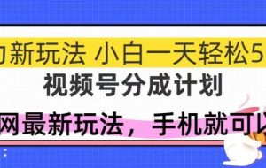 （14815期）视频号分成计划，全网最暴力玩法，新手一天也能轻松500+