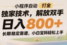 小程序自动打金独家技术，解放双手日入8张，长期稳定靠谱，小白宝妈轻松上手【揭秘】