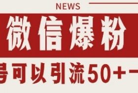微信爆粉，私域暴力引流打法日引千粉 单号日进50+【揭秘】