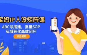 （14821期）宝妈IP人设矩阵课：ABC号搭建，批量SOP，私域转化高效闭环