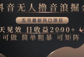 抖音无人撸音浪掘金，五月最新风口项目，当天见效，日收益多张，小白可做简单粗暴可矩阵【揭秘】
