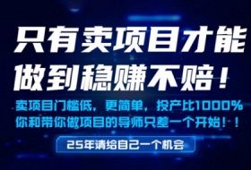 只有卖项目才能做到稳挣不赔，门槛低，更简单，你也可以年入百个W【揭秘】