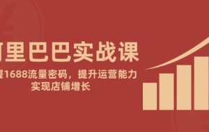 （14830期）阿里巴巴实战课：掌握1688流量密码，提升运营能力，实现店铺增长