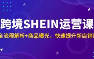 （14832期）跨境SHEIN运营课，全流程解析+商品曝光，快速提升新店销量