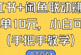 小红书+闲鱼联动挣钱，一单10元，小白可做
