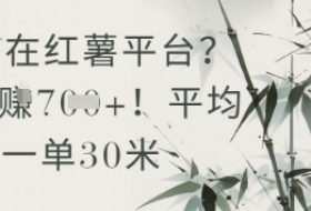 抄书在小红薯平台？平均一单30米，一天收益几张！