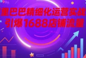 阿里巴巴精细化运营实战课，引爆1688店铺流量