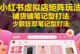 小红书虚拟店矩阵玩法，铺货铺笔记型打法，少款狂怼笔记型打法