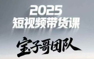 宝子哥头部团队短视频带货（更新5月）