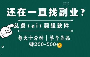 （14844期）头条全新玩发加持软件搬视频，每天十分钟，单个作品收入200-500左右