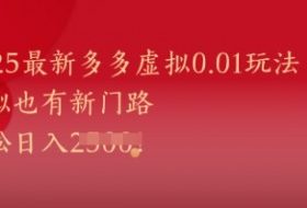 2025最新多多虚拟0.01玩法！虚拟也有新世界，轻松日入1k+