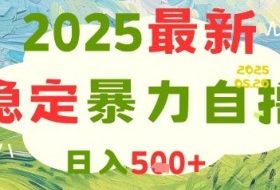 2025最新暴力自撸项目，日入5张+，可矩阵操作【揭秘】