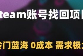Steam账号找回项目，冷门蓝海，0成本，需求极大