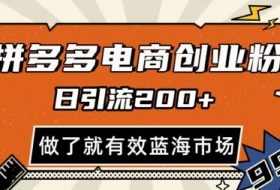拼多多引流电商创业粉，日引200+，可矩阵放大，做了就有效【揭秘】