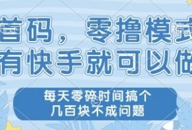 首码，零撸模式，有快手就可以做，每天零碎时间搞个几张不成问题【揭秘】