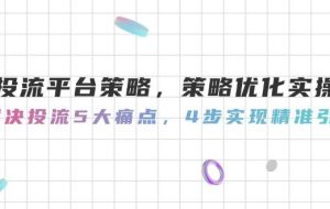 投流平台策略，策略优化实操，解决投流5大痛点，4步实现精准引流