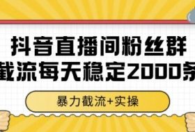 抖音直播间粉丝群暴力截流，一台电脑每天稳定2000条数据，暴力截流+实操 【揭秘】