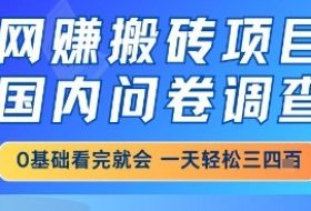 网创搬砖项目，国内问卷调查，小白轻松上手，一天三四张的也不难，干就完了【揭秘】