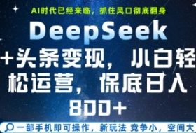 DeepSeek+头条变现，保姆级教学，小白轻松上手，日入8张+【揭秘】
