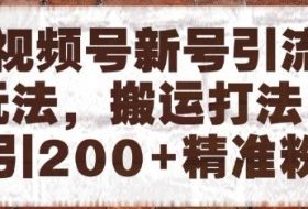 视频号新号引流玩法，搬运打法日引200+精准粉，可矩阵放大【揭秘】