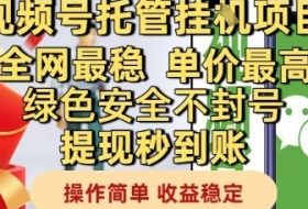 视频号托管挂G项目全网最稳，单价最高，绿色安全不封号提现秒到账，操作简单，收益稳定【揭秘】