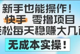 新手也能操作，快手零撸挣米，轻松每天挣2-5张，完全无成本