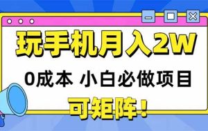 （14879期）玩玩手机月入20000+，0成本小白必做项目，可矩阵