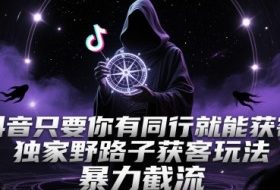 抖音只要你有同行就能获客，独家野路子获客玩法，暴力截流【揭秘】