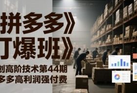 《拼多多打爆班》原创高阶技术第44期，拼多多高利润强付费