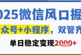 2025微信风口掘金，公众号+小程序双管齐下，单日稳定变现1k+【揭秘】