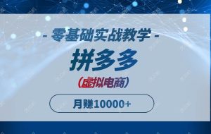 （14880期）拼多多虚拟电商，零基础实战教学，快速打爆商品，新手也能月入10000+