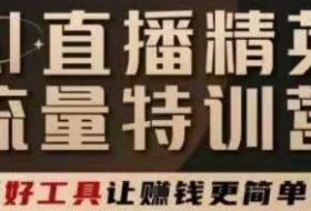 AI直播精英官方特训营，直播底层逻辑和ai实操技巧，用好工具让挣米更简单