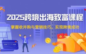 （14898期）2025跨境出海致富课程，掌握收并购与营销技巧，实现跨境成功
