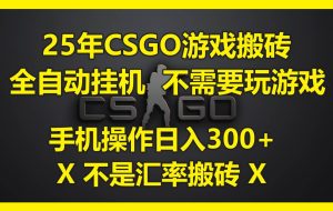 （14902期）25年CSGO游戏搬砖，全自动自动运行，不需要玩游戏，手机操作日入300+。(不…