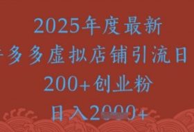 绝密引流秘籍，拼多多虚拟店铺引流，日引500+