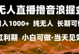无人直播撸音浪掘金，日入1k+，纯无人红利期，小白可做，当天见效【揭秘】