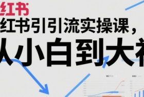 小红书引流实操课，从小白到大神