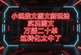 小说推文图文新玩法，实况图文，万播二十单，这转化太牛了！